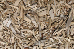 biomass boilers Golspie